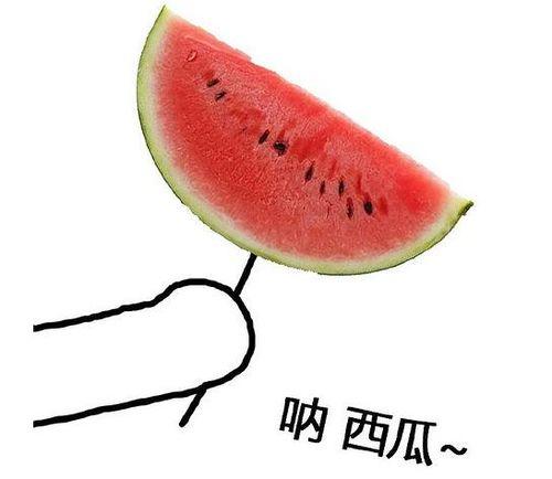 吃瓜娱乐酱头像图片,娱乐酱头像下的欢乐时光