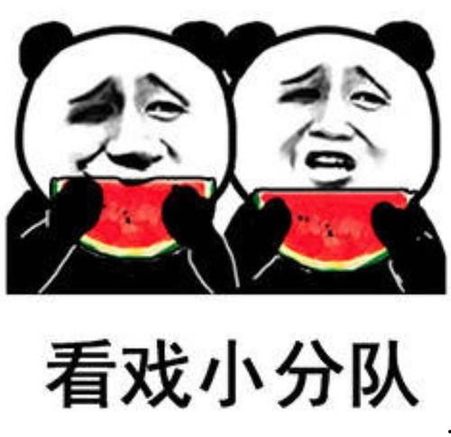 吃瓜娱乐酱头像图片,娱乐酱头像下的欢乐时光